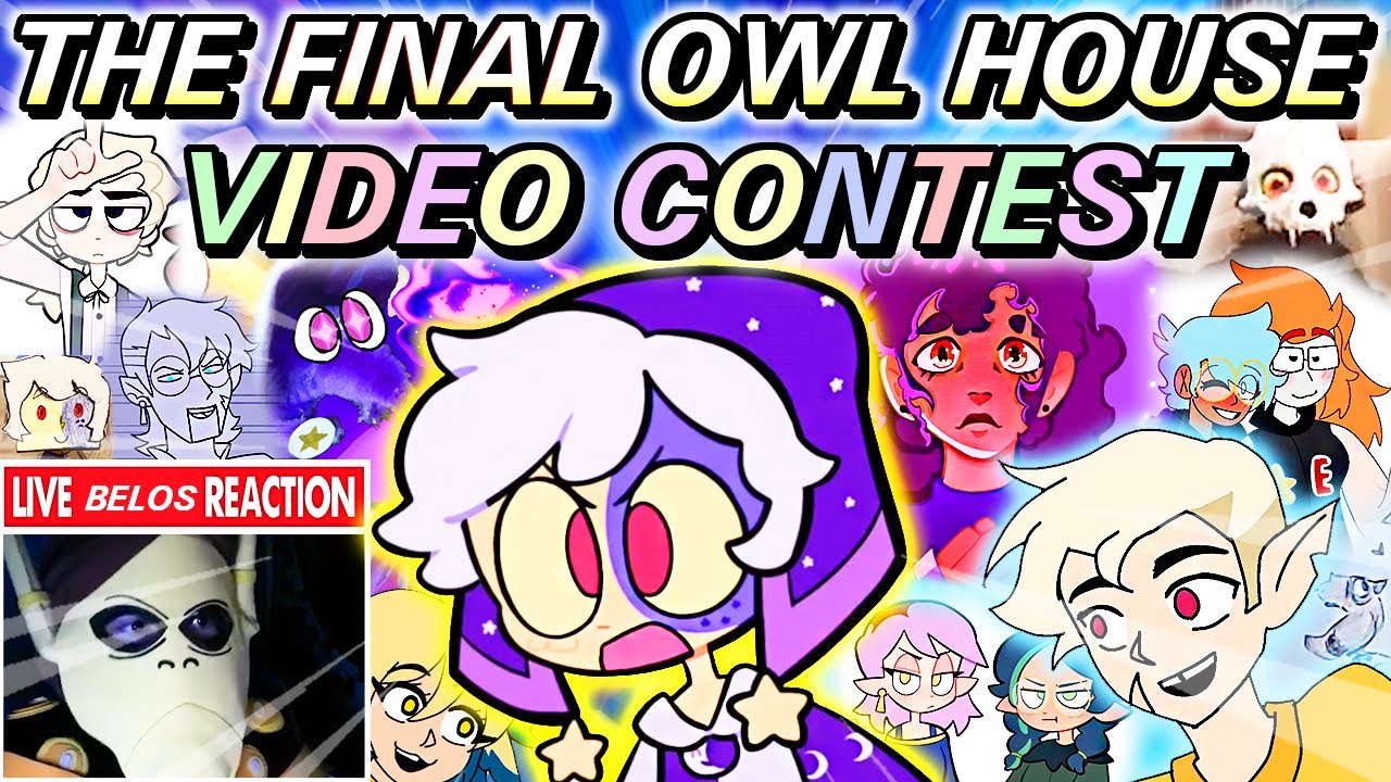 The OWL HOUSE VIDEO Contest: Before The End!