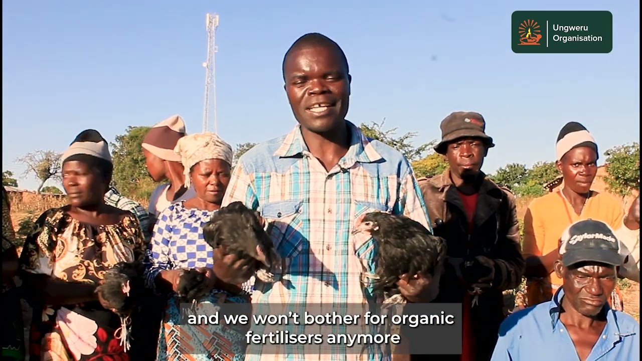 CHICKEN DISTRIBUTION