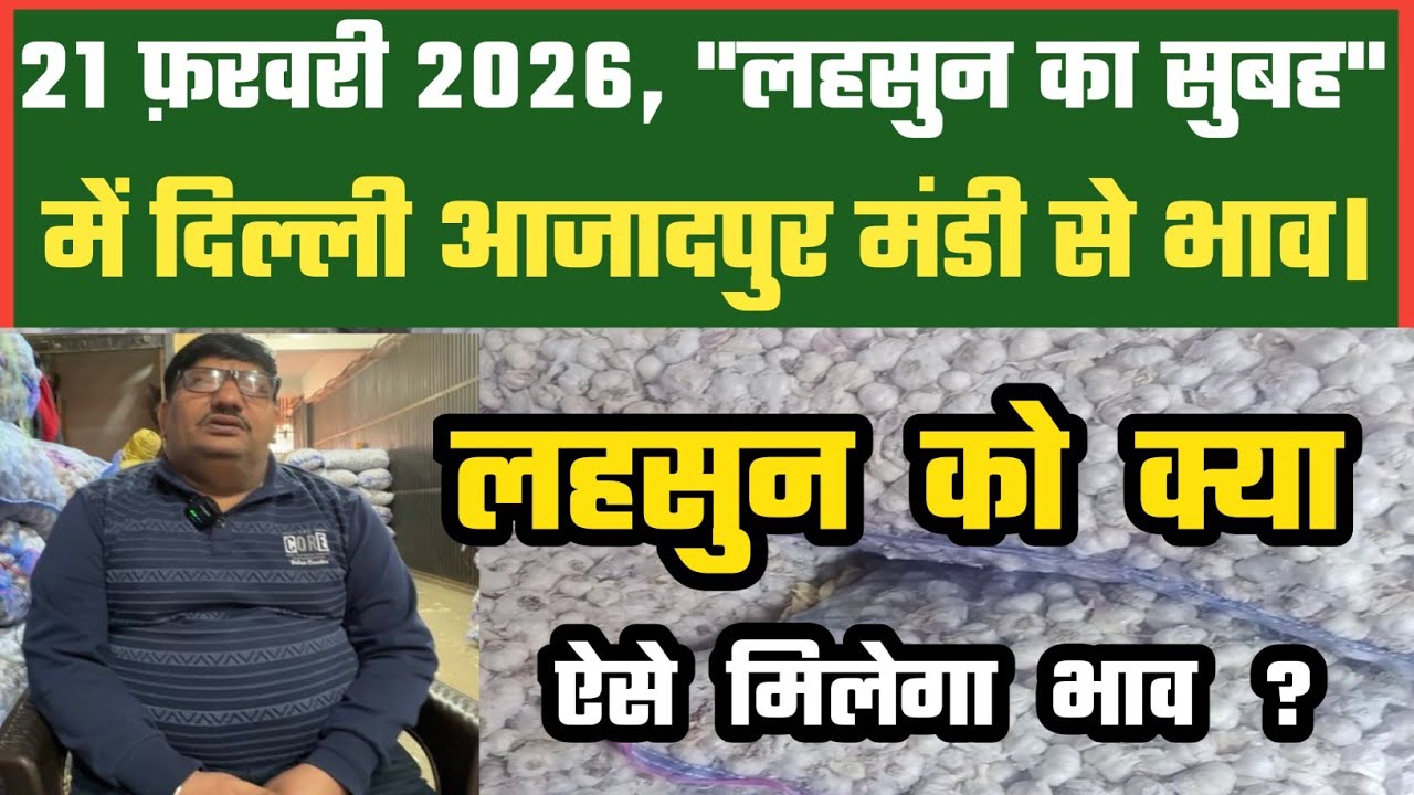 आज लहसुन में बाज़ार कैसा दिखा ? Azadpur Delhi Mandi Today 21-02-2026 को बने ऐसे Garlic Price DMT TV