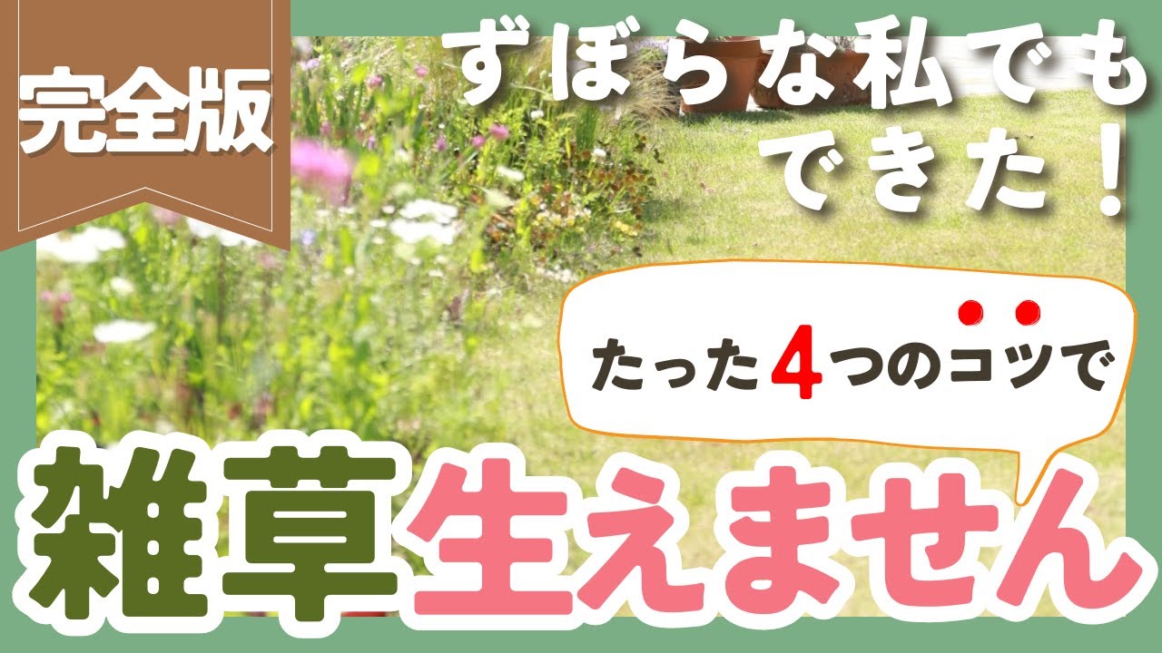 【雑草バイバイ🙌】庭の雑草を年々生えなくするたった4つのコツ【ガーデニング】【園芸】