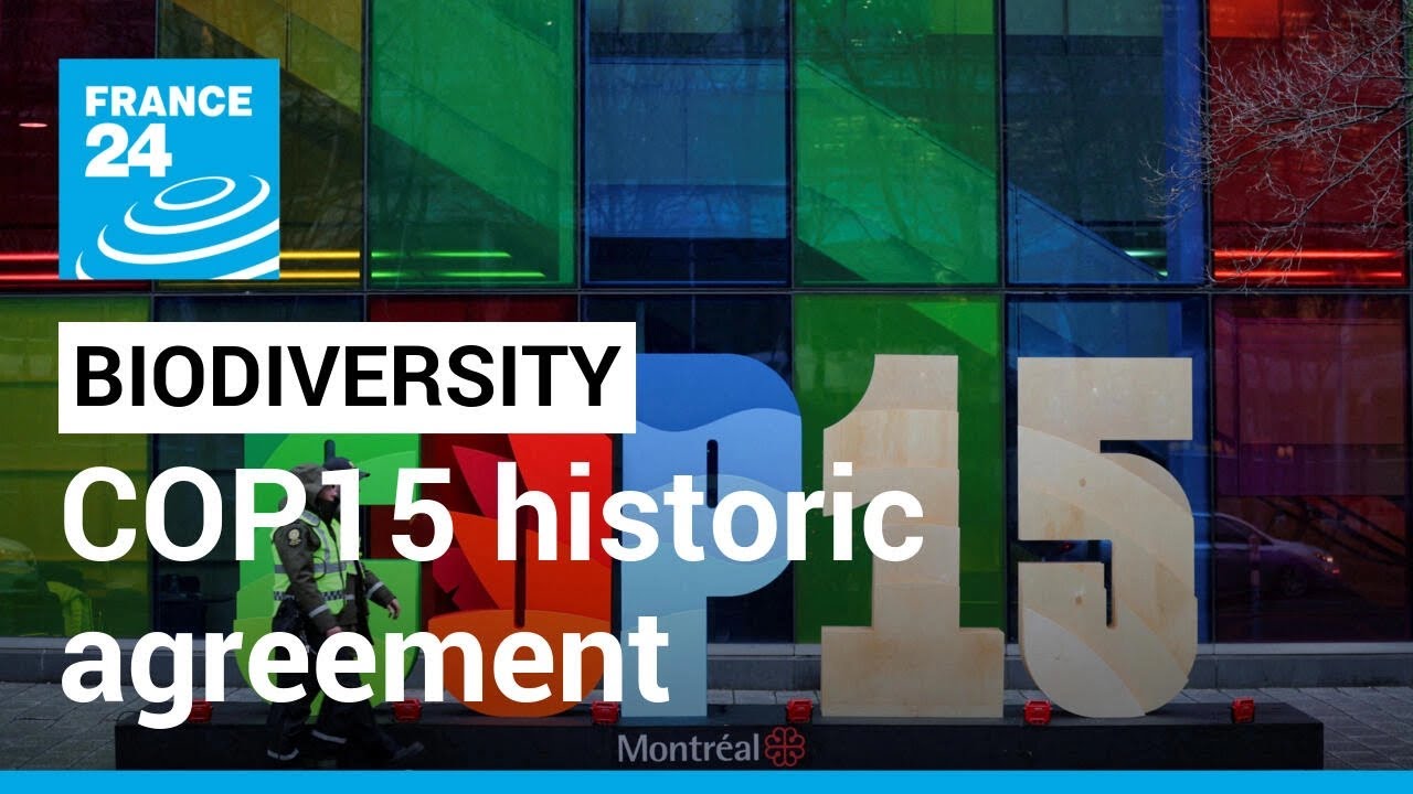 Countries at COP15 reach historic agreement to halt loss of biodiversity &bull; FRANCE 24 English