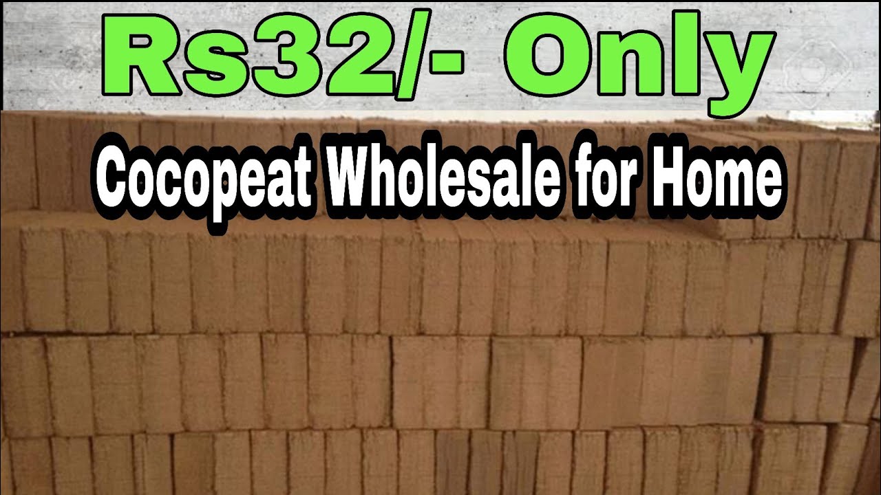कोई भी नही देता इतना सस्ता - Cocopeat Wholesale manufacturing