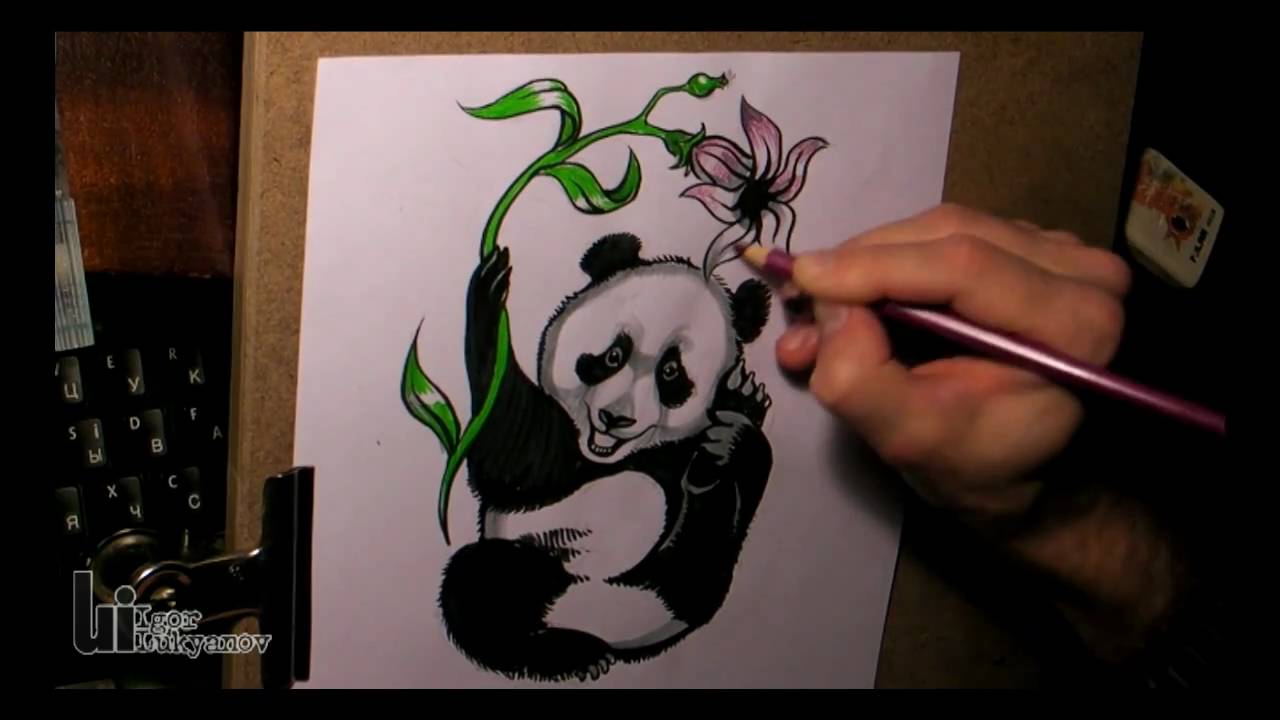 Drawing a Cute Baby Panda