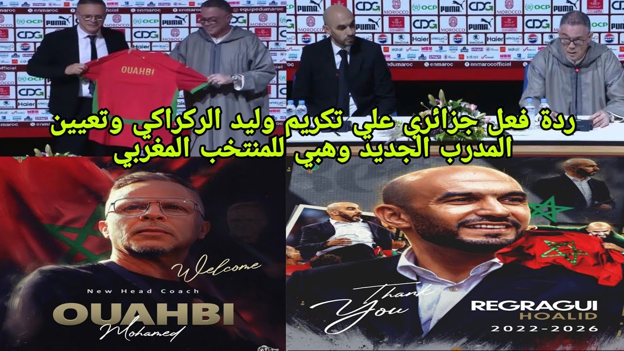 🚨ردة فعل جزائري🇲🇦تكريم وليد الركراكي من طرف الجامعة الملكية المغربية وتعيين المدرب وهبي للمنتخب المغ