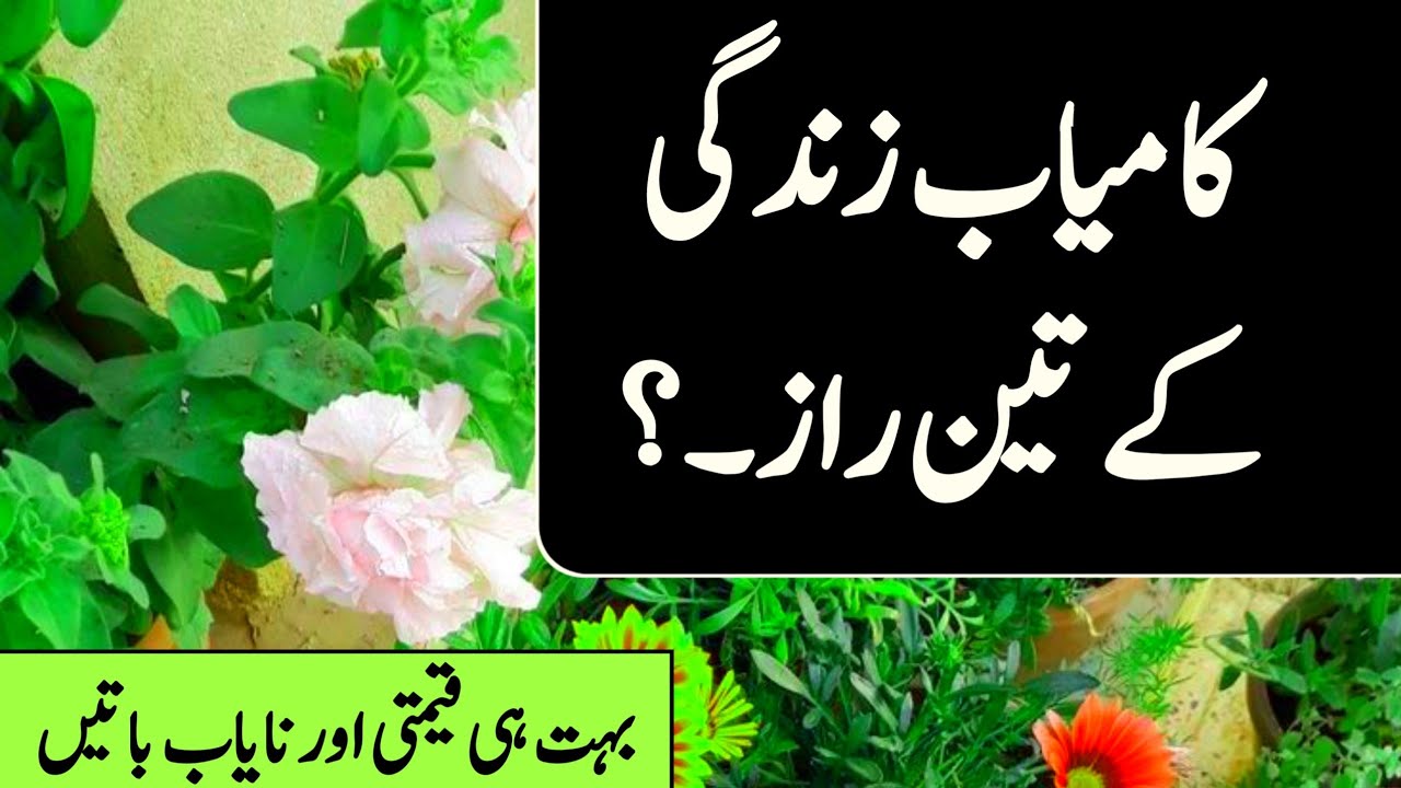  kamyab Zindagi ke teen Raz | beautiful quotes about Urdu | Aqwal e zareen Urdu Qoutes Beautiful