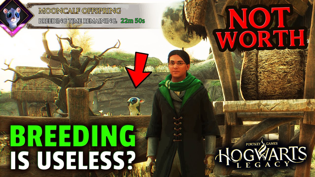 Should You Breed Creatures in Hogwarts Legacy. Breeding Has a HUGE FLAW!