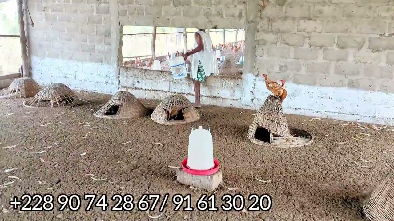 La ferme Agro-pastorale Mille et une merveille 