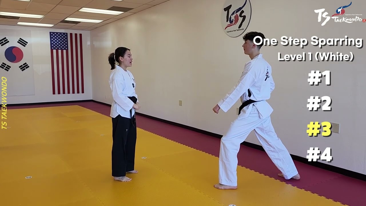 One Step Sparring Level.1 (#1-4)