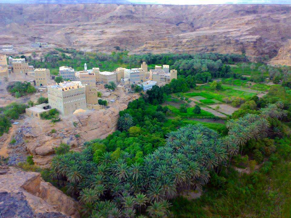 شبوة قلعة تحرسها بساتين