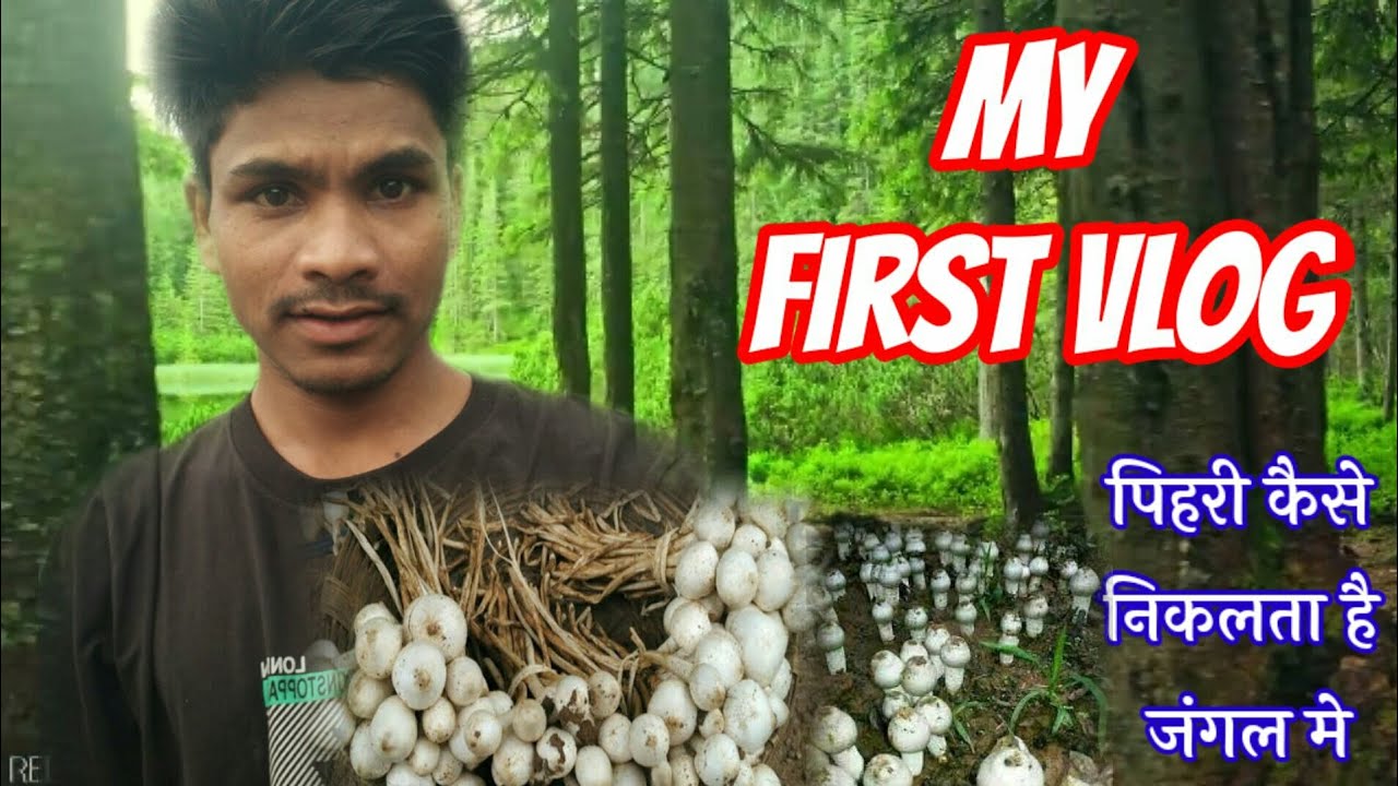 my first vlog ||pihari jungle me ||nohar vlog💐💐💐💐💐😢😢😊😊