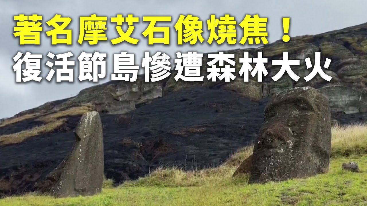 著名摩艾石像燒焦！復活節島慘遭森林大火 - 天然災害 - 國際新聞