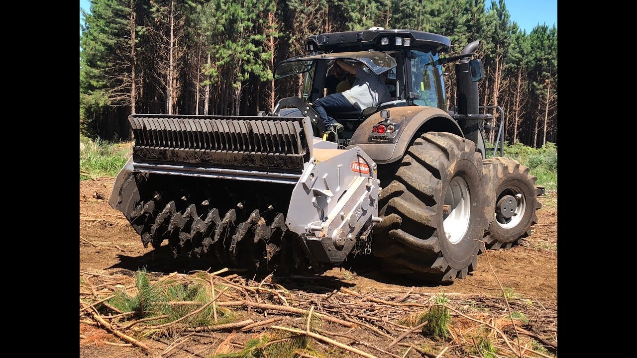 FAE SSH 250 - Convers&atilde;o de &aacute;rea com tocos de Pinus para Agricultura