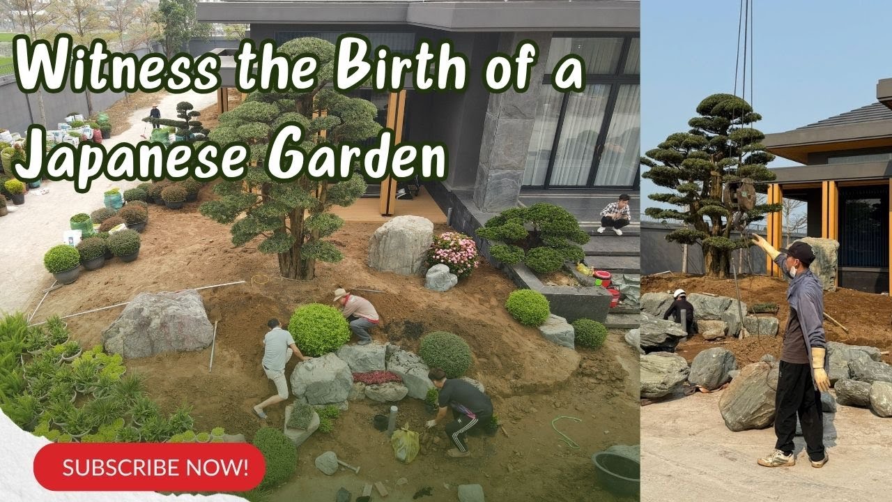 This Is How a Japanese Garden Is Born | Vietnam Garden Design