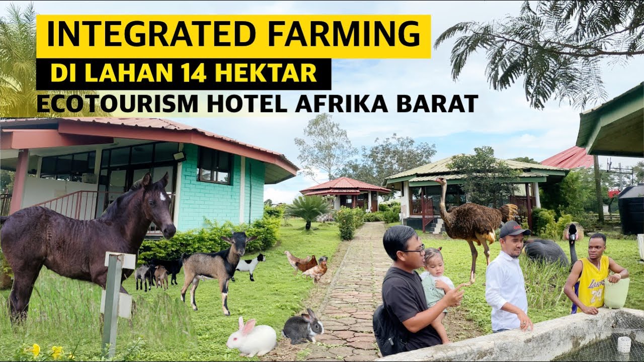 MANDIRI PANGAN INTEGRATED FARMING DI LAHAN 14 HEKTAR - ECOTOURISM HOTEL DI GUINEA AFRIKA BARAT