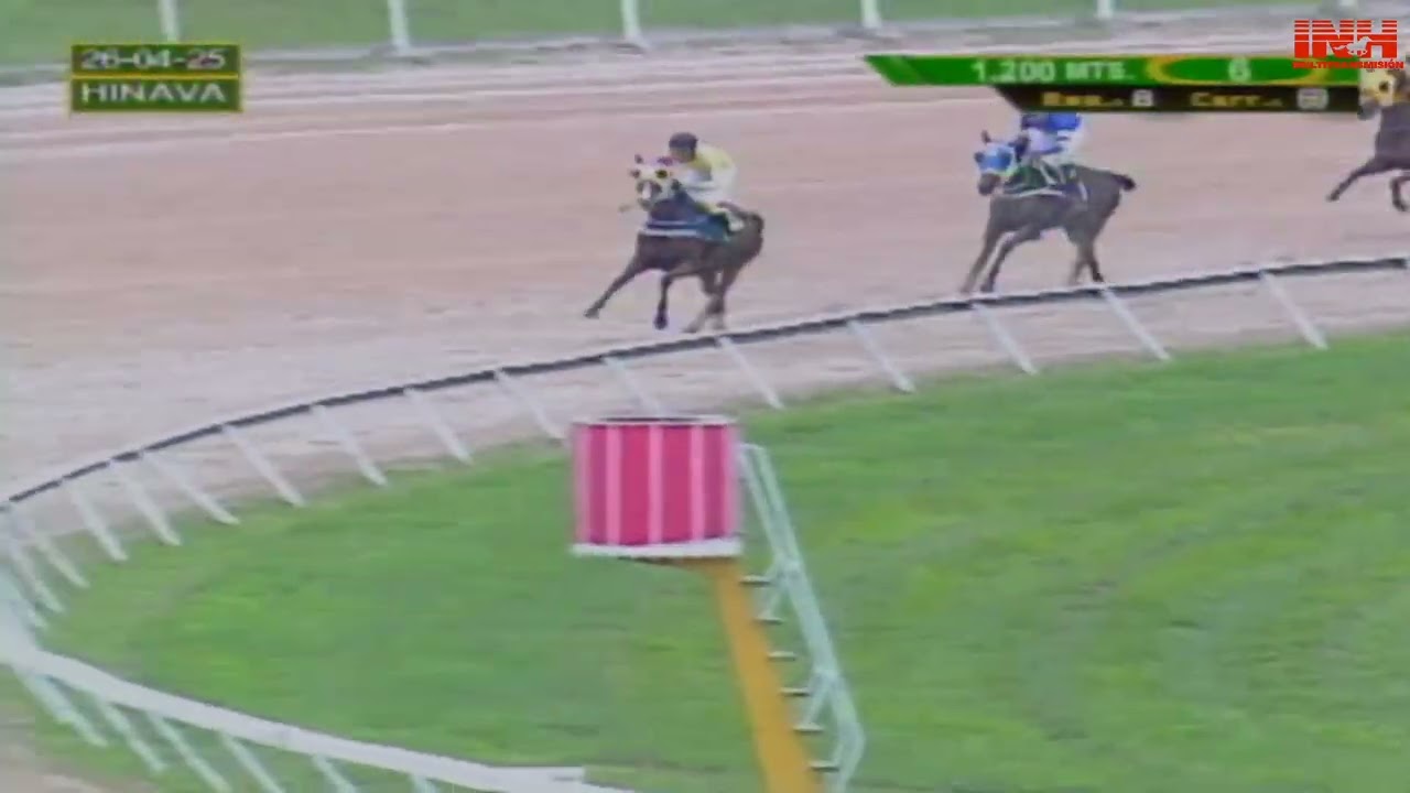 V69 | Cara Mía | Hipódromo Nacional de Valencia | Reunión 08 | 2025