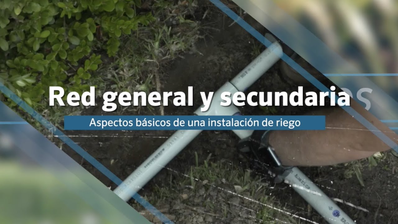 Red general y secundaria - Aspectos básicos de una instalación de riego