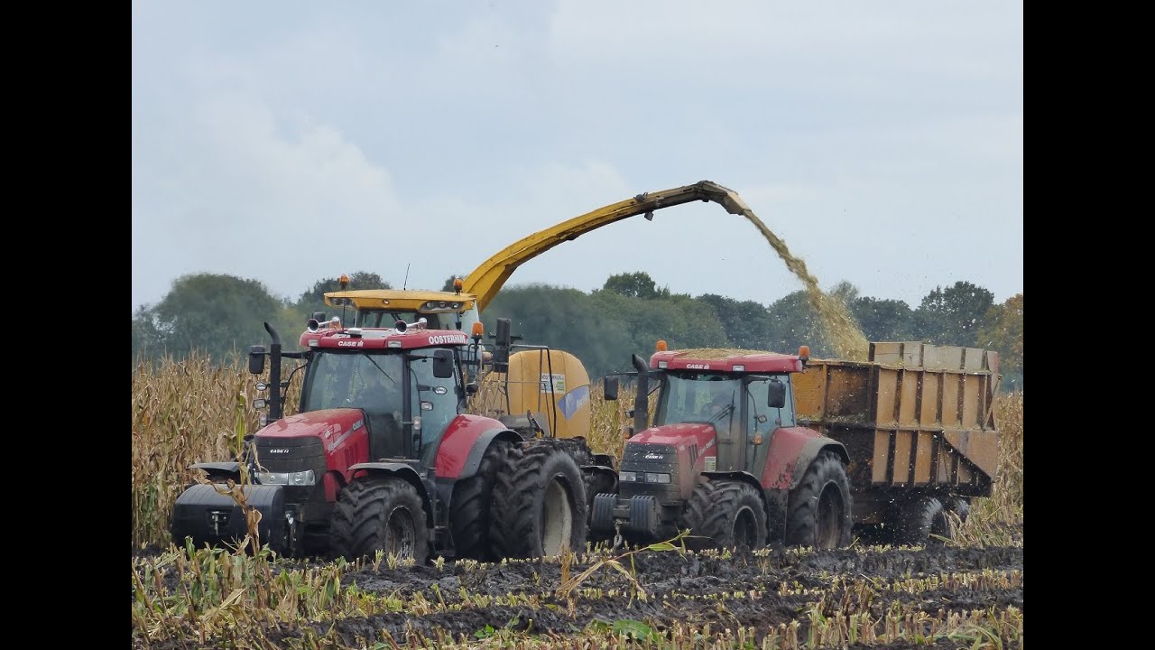 Modderen in de mais | Loonbedrijf Oosterhuis | Case IH | JCB | New Holland | 22-10-15