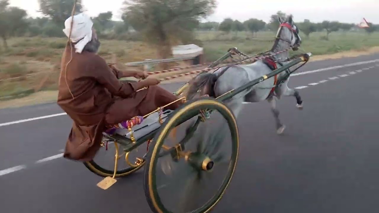 Nagaur horse race Win Zahir bhai=12/10/2022