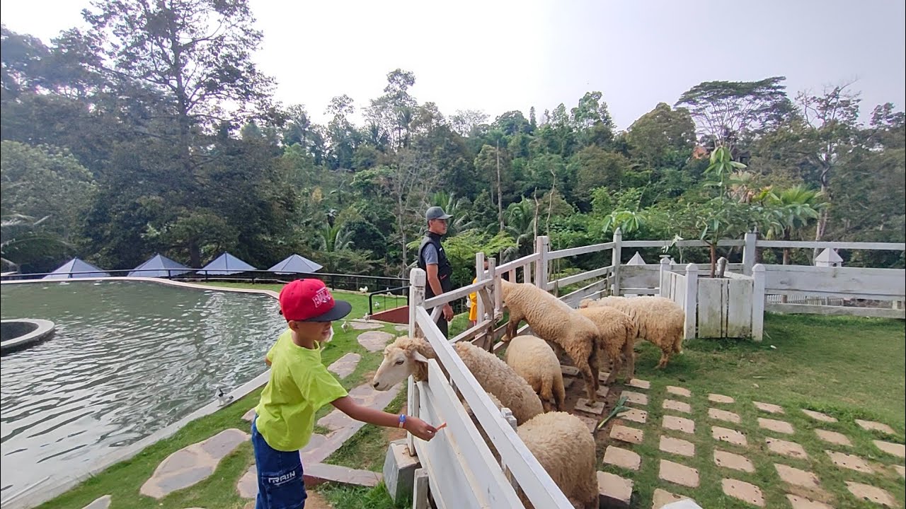 FARMORA,salah satu wisata edukasi ramah anak di Bandar Lampung