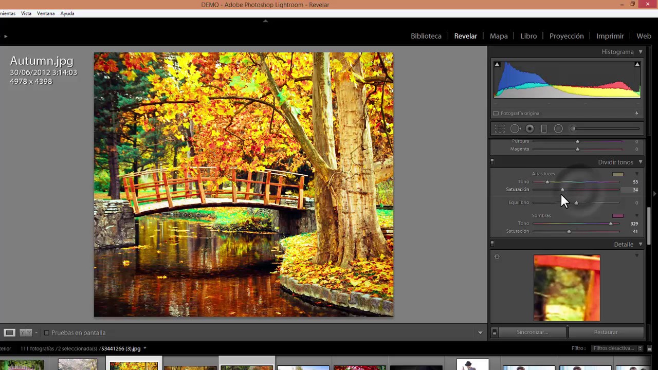 Curso Intensivo de Photoshop Lightroom - 01 Introducción basica