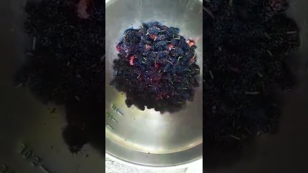 Homemade Mulberry Jam.