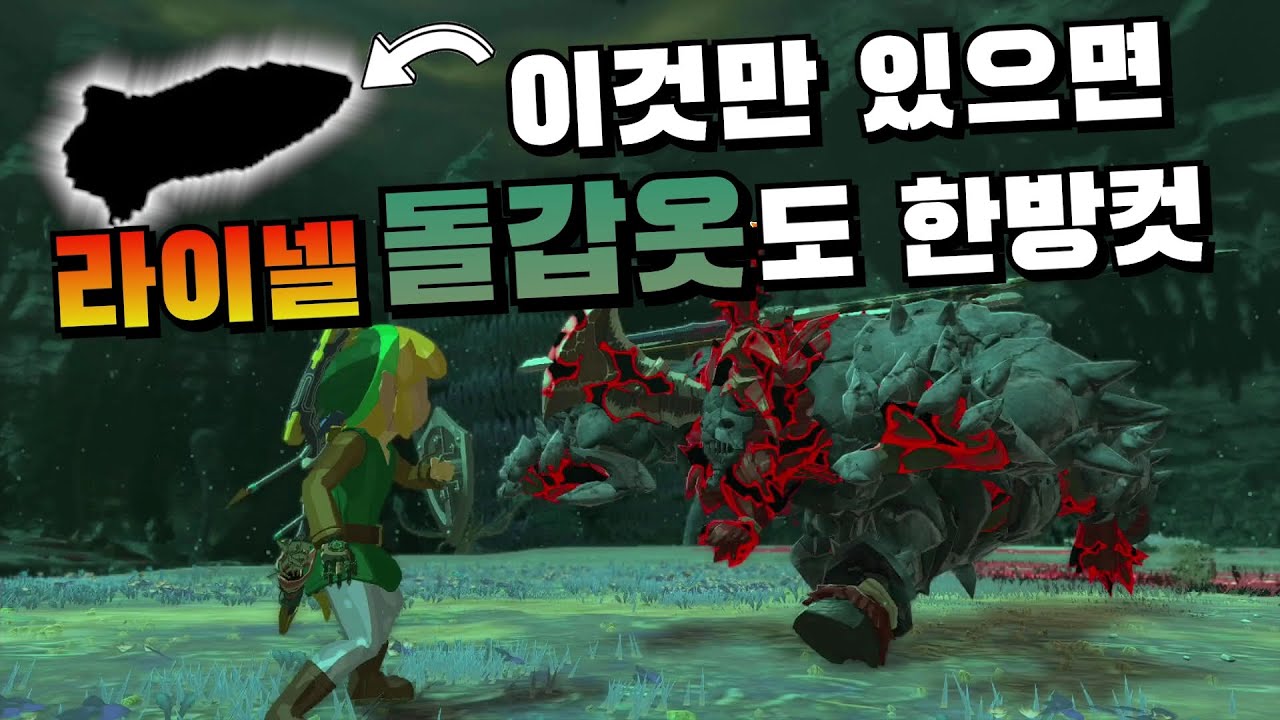 라이넬 돌갑옷 단 한 방에 깨부수기ㅋㅋㅋ - 젤다 왕눈