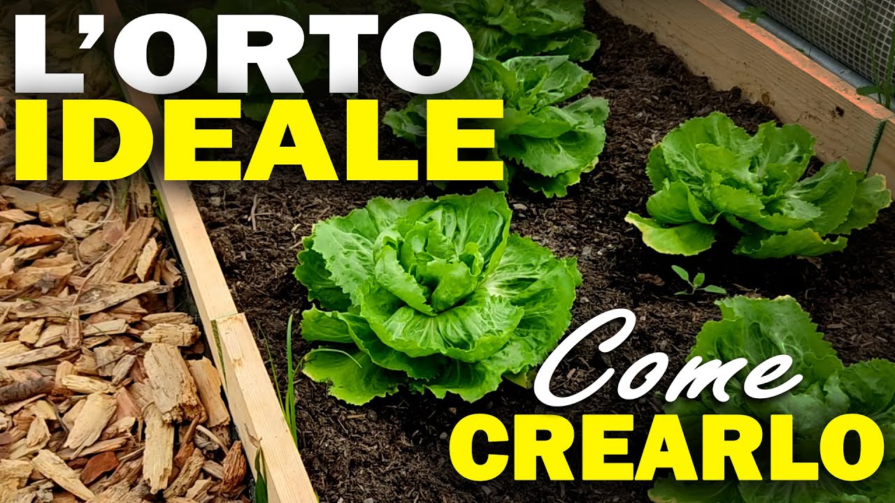 L'ORTO IDEALE | Scopri le CARATTERISTICHE e realizza l'ORTO PERFETTO in collab. con EcoFlow DELTA 2