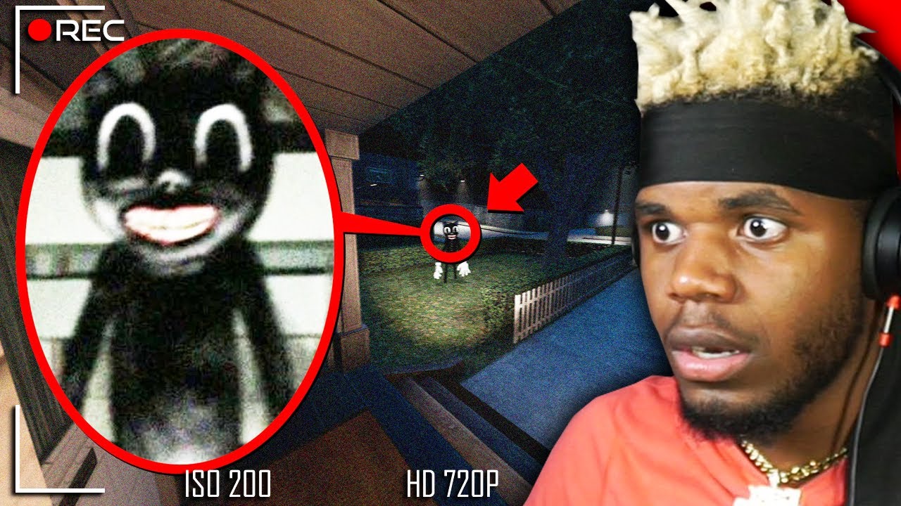 if you see CARTOON CAT outside your house, RUN AWAY FAST!!