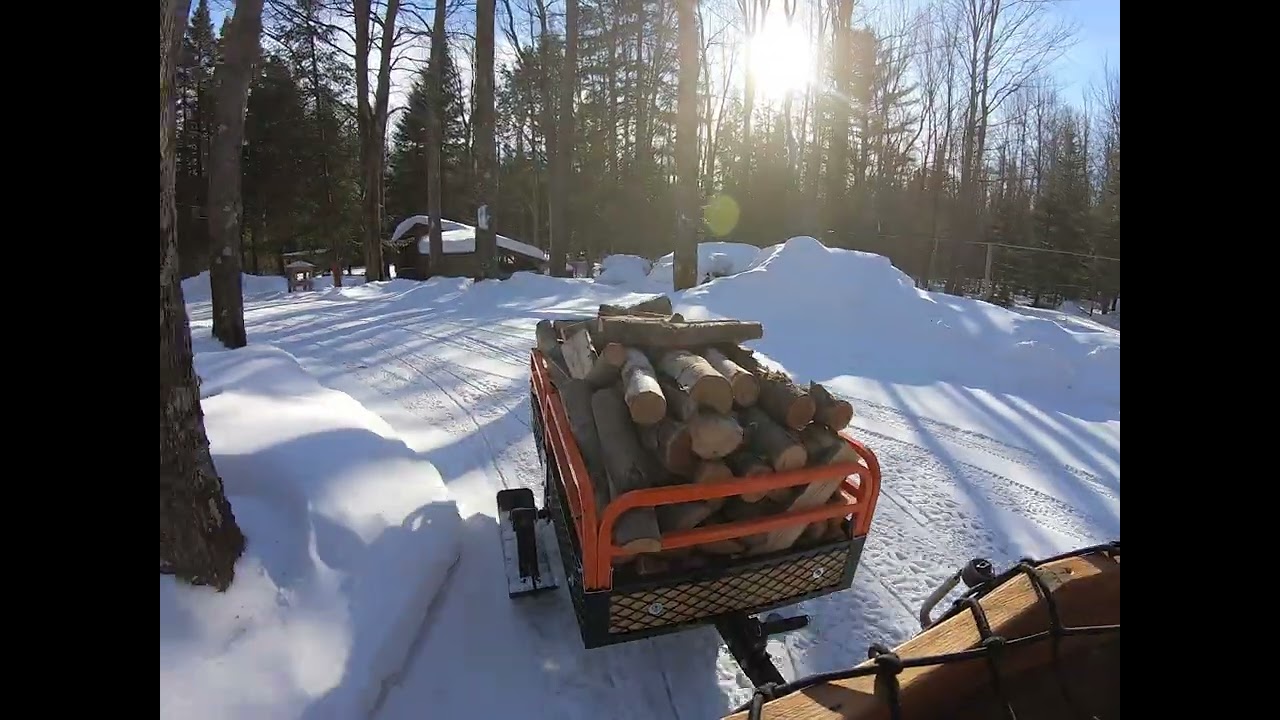 bois de chauffage avec la brute 300