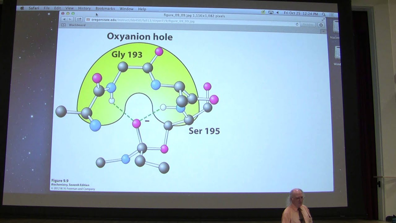 12. Kevin Ahern's Biochemistry - Enzyme Mechanisms