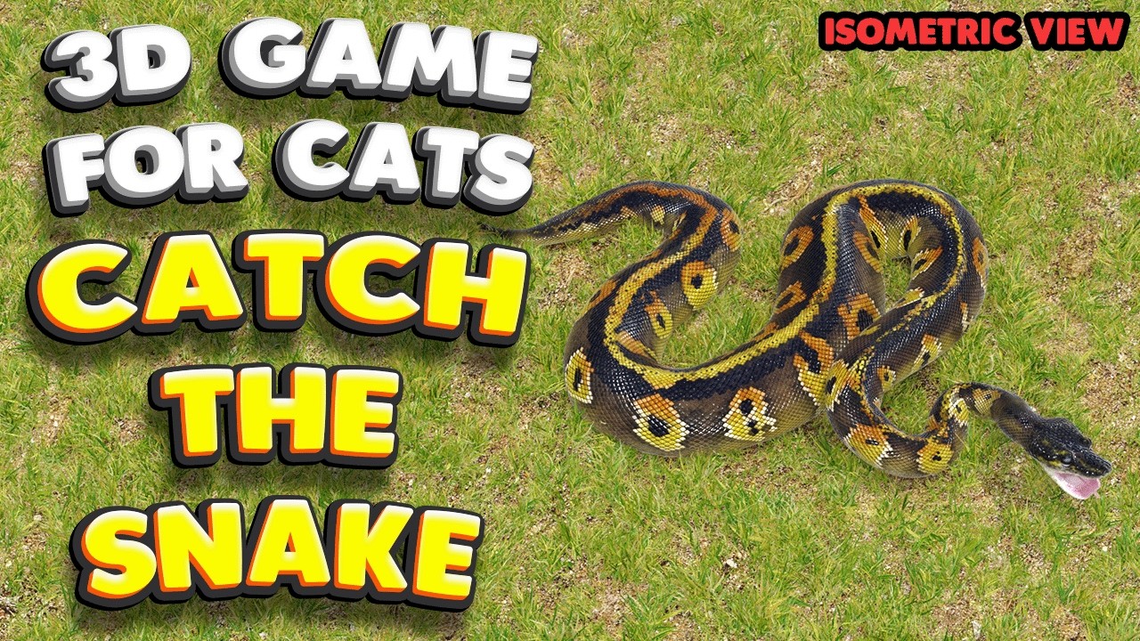 3D game for cats | CATCH THE SNAKE (sometric view) | 4K, 60 fps, stereo sound