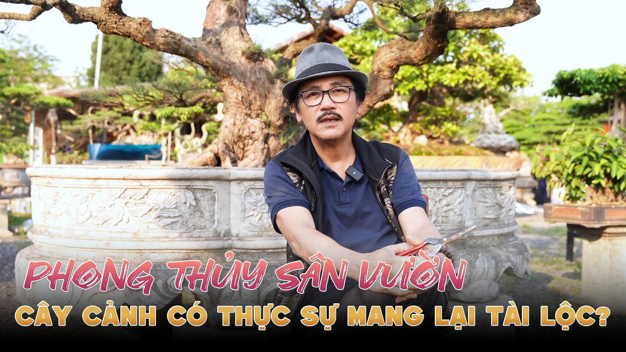 Giải Đáp Về Phong Thủy Sân Vườn: Cây Cảnh Có Thực Sự Mang Lại Tài Lộc? | Trần Hiền Lão Nông
