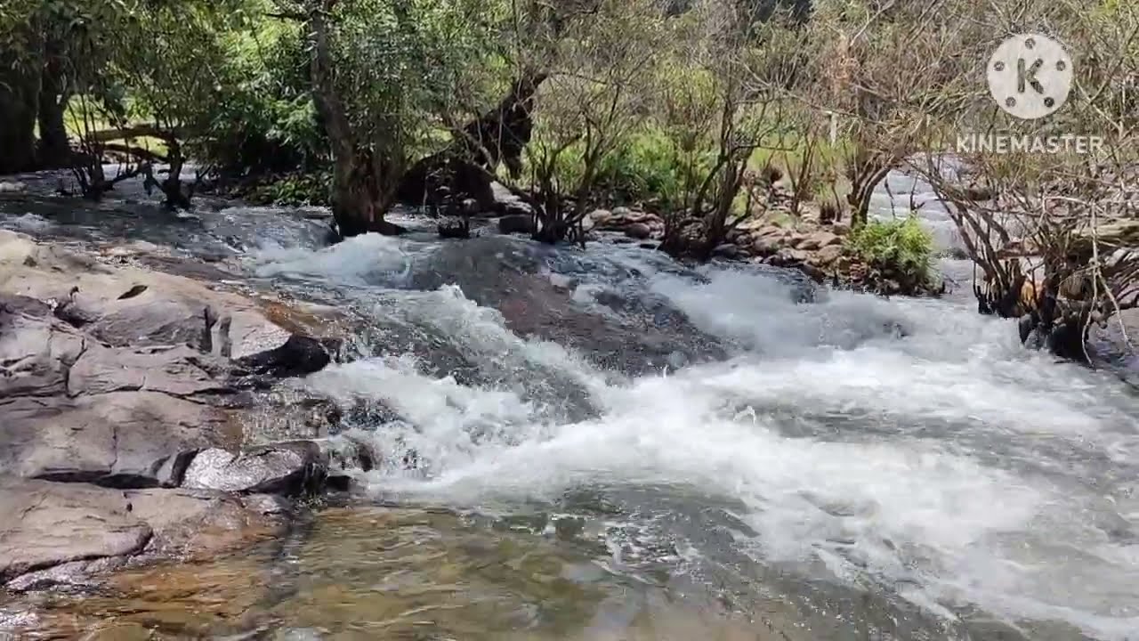 Wayanad | Thirunelli | Wayanad travel | kalindi river | places to see in Wayanad | Kerala tourism