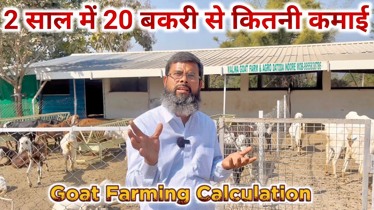 20 बकरी से कितनी कमाई? | Goat Farming Business Calculation in India