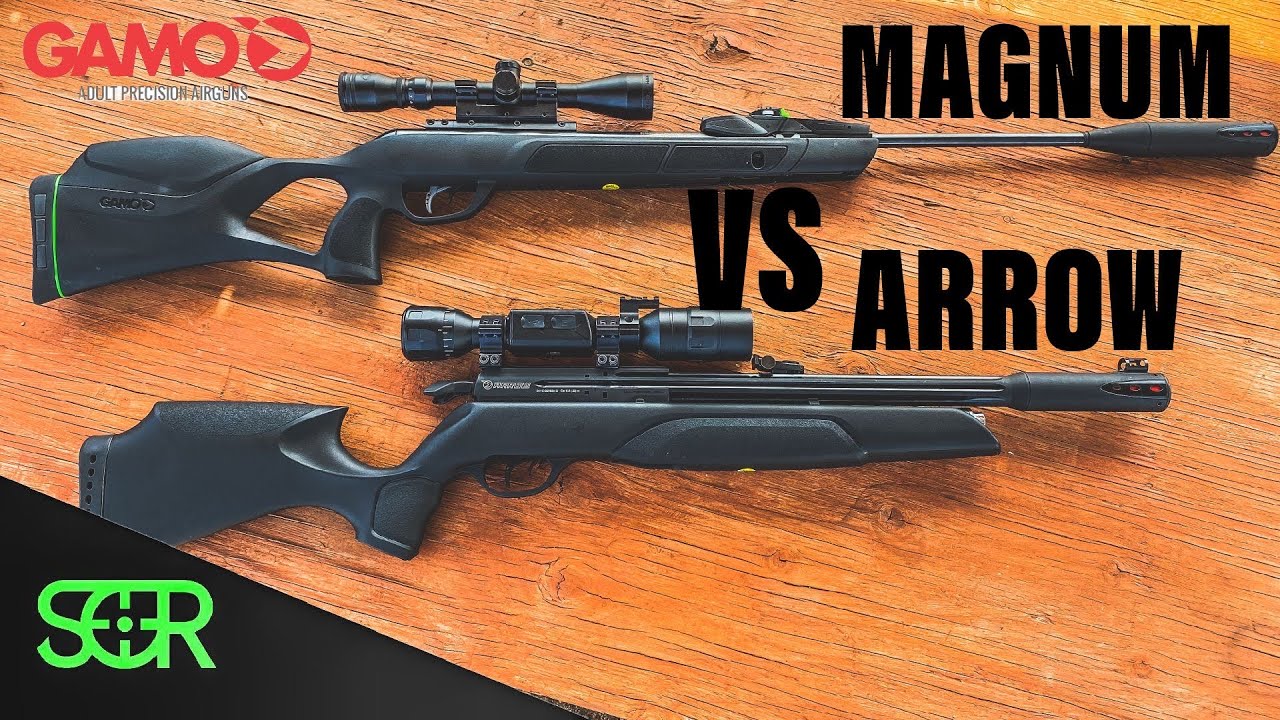 Gamo Arrow против Magnum Swarm 10X GEN3i — БИТВА ПНЕВМАТИЧЕСКОГО ОРУЖИЯ GAMO КАЛИБРА .22!