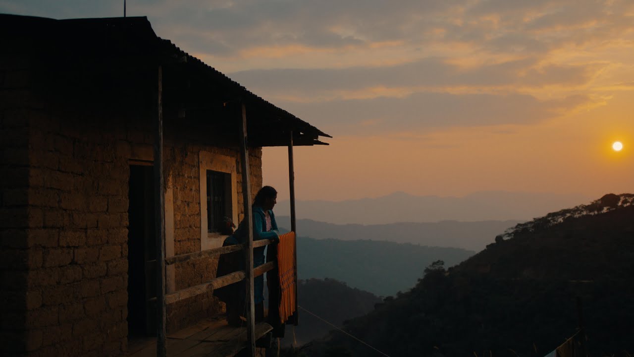 It's a New Wave. &ndash; Director's Cut | TYPICA