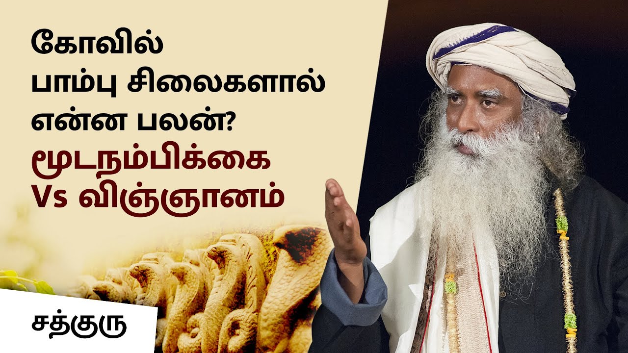சொல்லப்படாத ரகசியங்கள் - பாம்புக்கும் மனிதனுக்கும் உள்ள தொடர்பு என்ன? | Snakes & Human