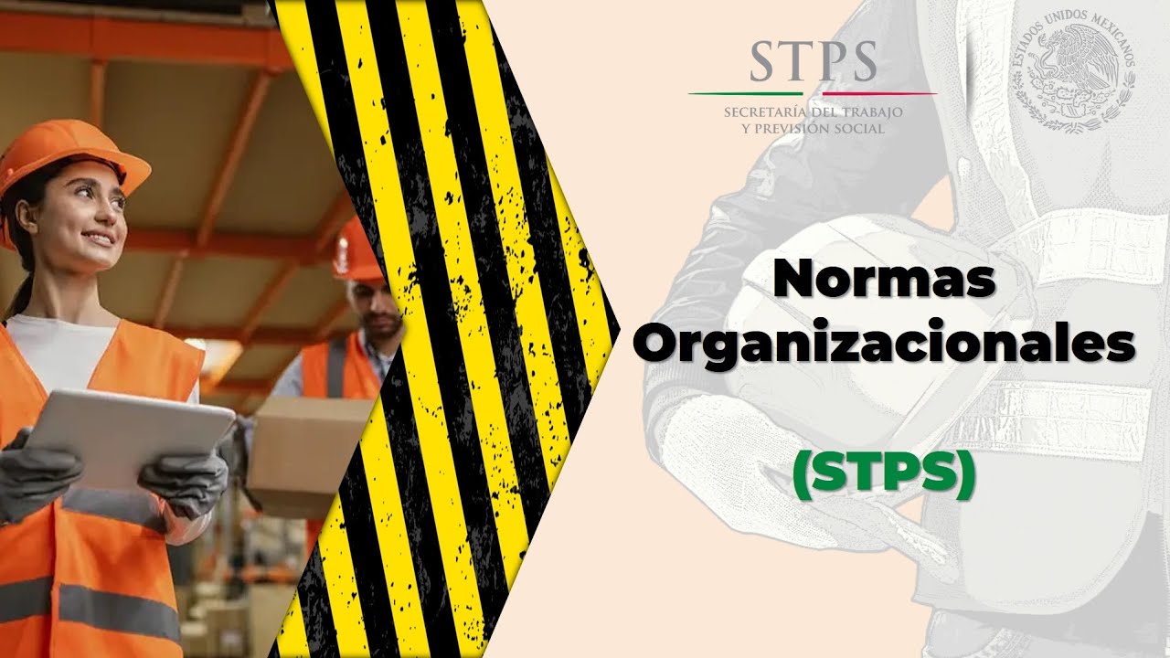 Normatividades de Organización (STPS)