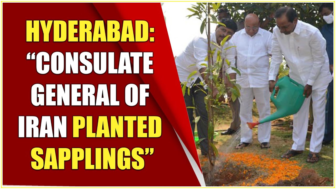 Hyderabad: Consulate General of Iran participates in Green India Challenge | Hybiz tv