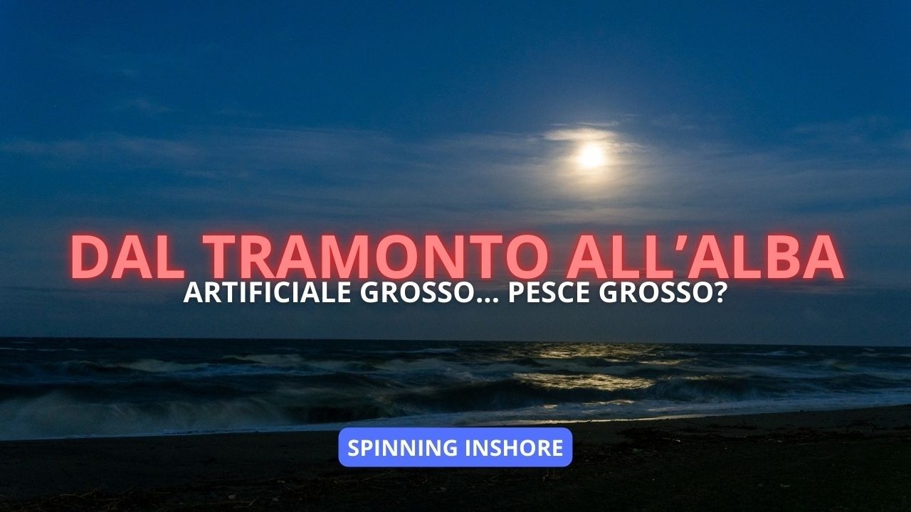 TRAMONTO ED ALBA – ARTIFICIALE GROSSO PESCE... NON SEMPRE! Dall’Alba alle Catture Serie | Spinning