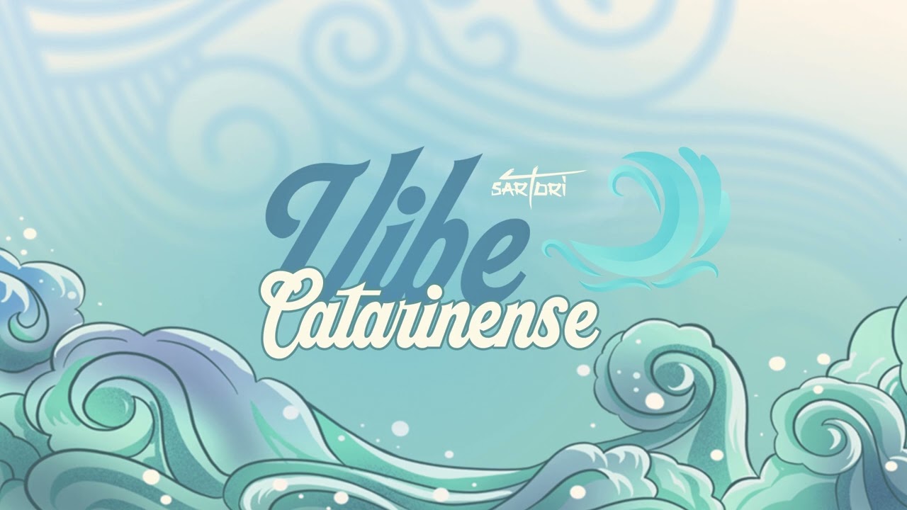 MEGA FUNK VIBE CATARINENSE - DJ Sartori (2023)