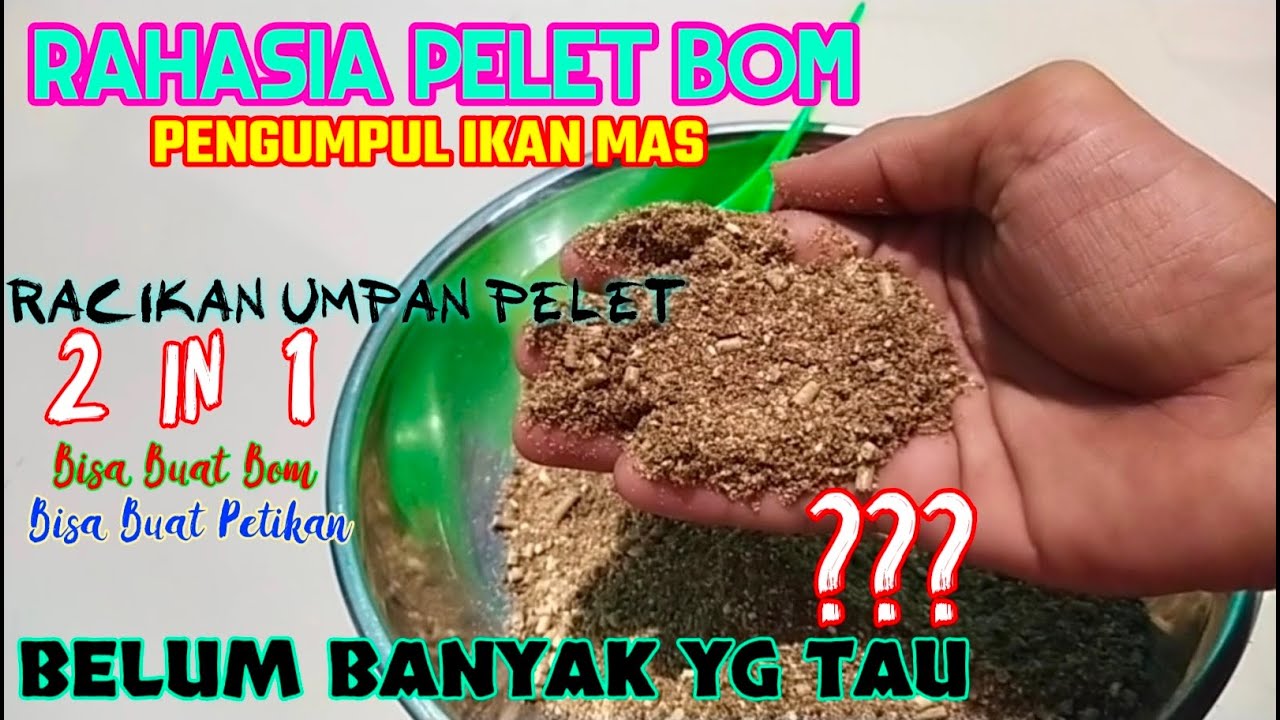 BOM BARDIR...!!!  BONGKAR RESEP ANDALAN PENGUMPUL IKAN MAS Yang Bikin ikan Mas Kumpul Dilapak Kita.