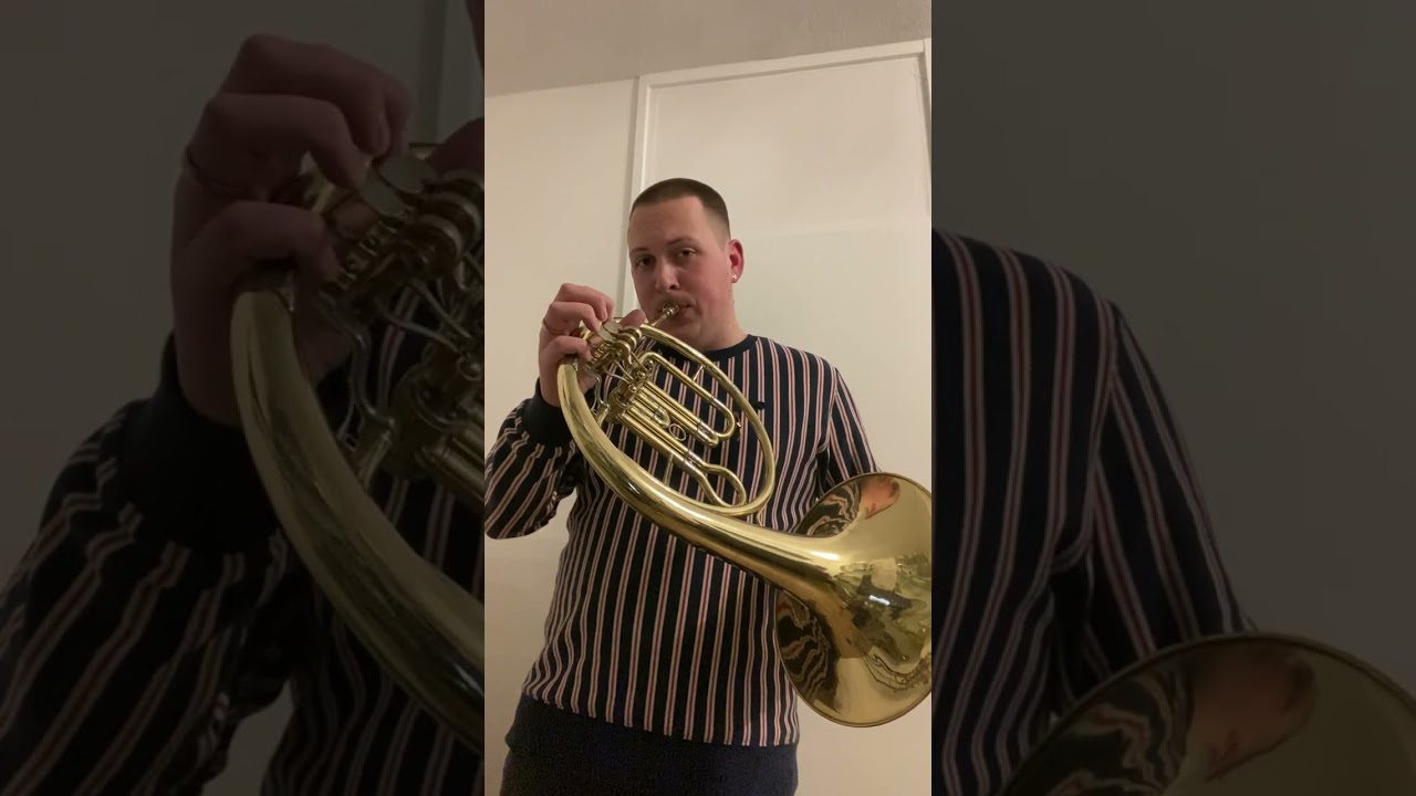 SOLD: Kühnl & Hoyer mod. 76 Eb Horn