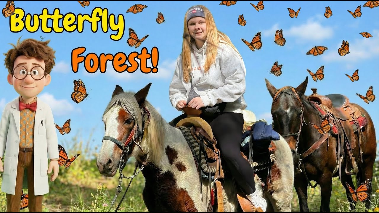 Assistant Finds a Hidden Forest! Exploring the Secret Monarch Butterfly Forest