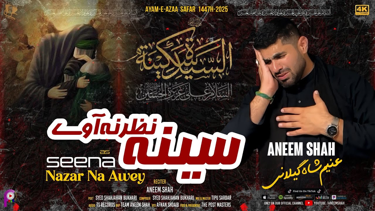 Seena Nazar Na Awey | Noha Bibi Sakina (SA) | Aneem Shah | Safar 1447H-2025 | New Noha 2025