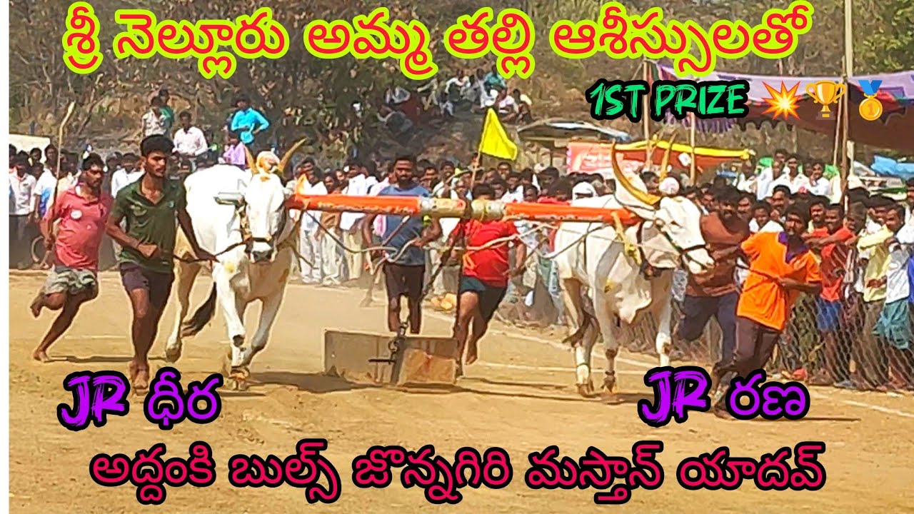 2026-కదిరప్పకొండ దేశపుఎద్దులు విభాగం1st prize 🏆🥇 అద్దంకిబుల్స్ జొన్నగిరి మస్తాన్ యాదవ్(jr ధీర jr రణ)
