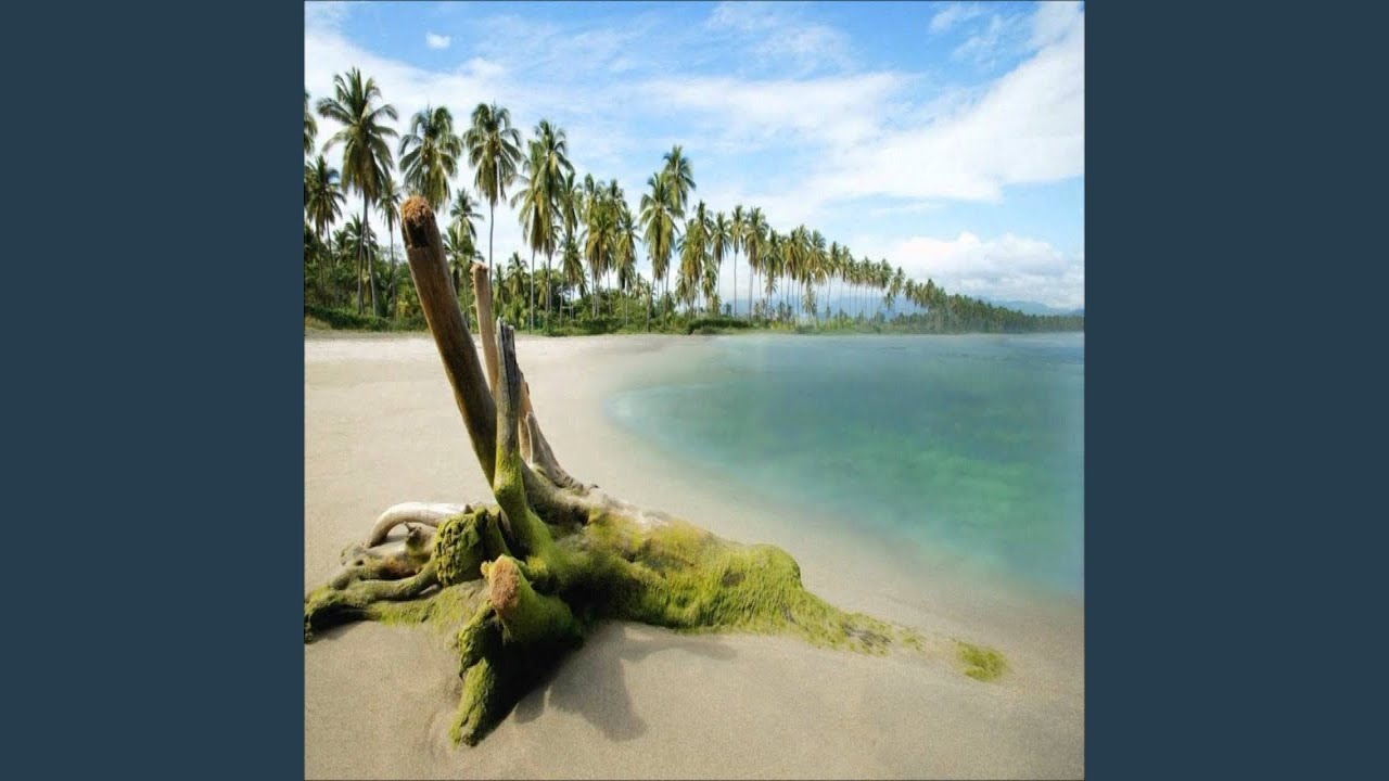 محمد المحيسني الصافات