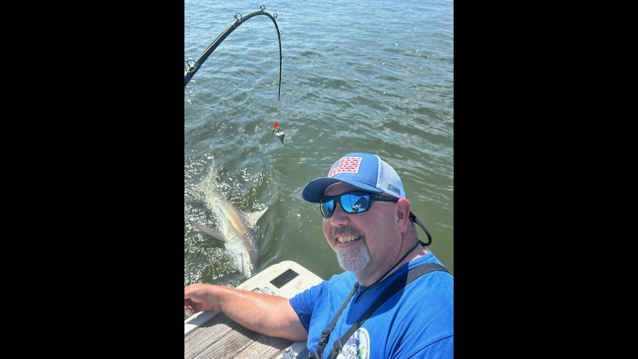 MORE SHARK FISHING!!!!!!!!! #SapeloSound #fishing #oceanfishing #sportfishing   #everyone