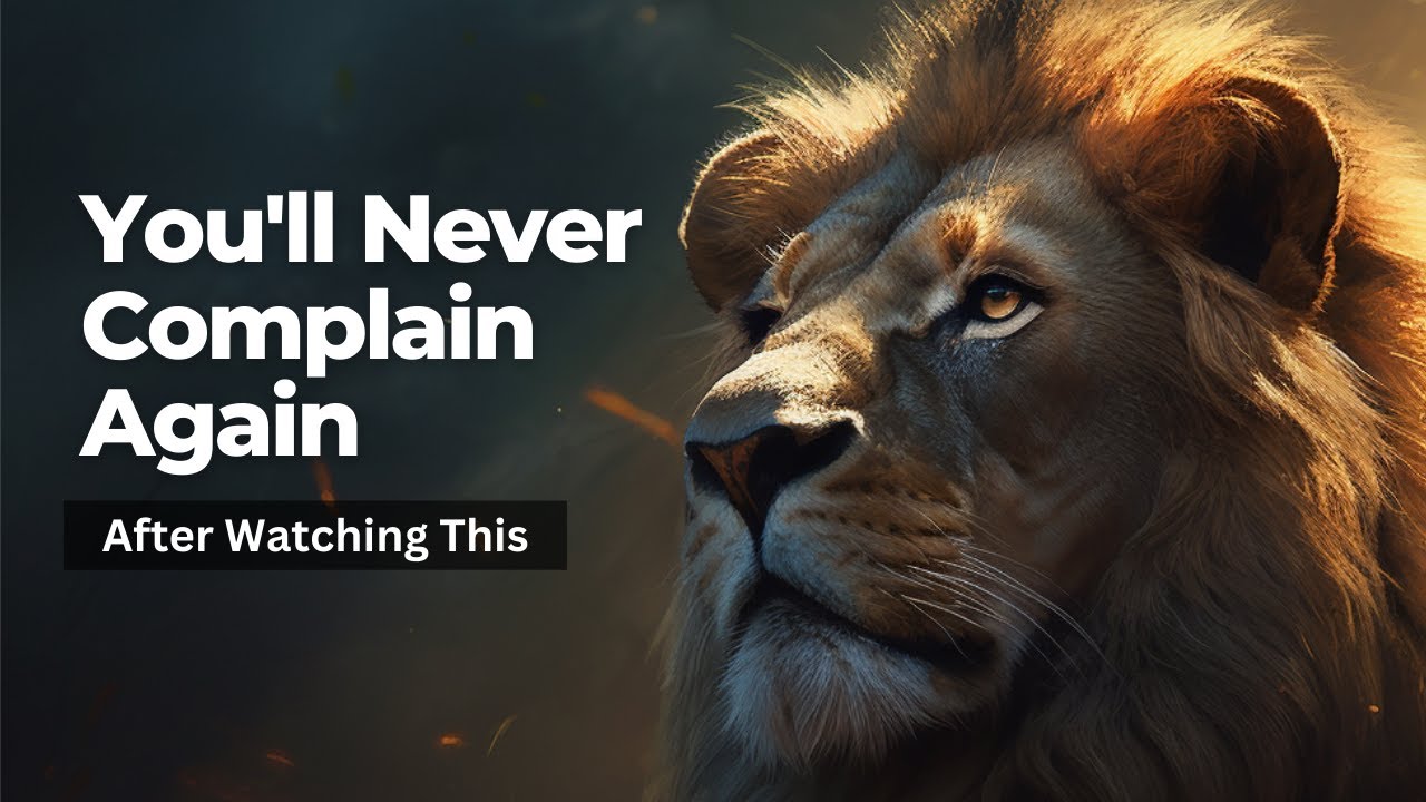 The Lion Has A Question For God... | You'll Never Complain Again | Inspiring & Motivation Story
