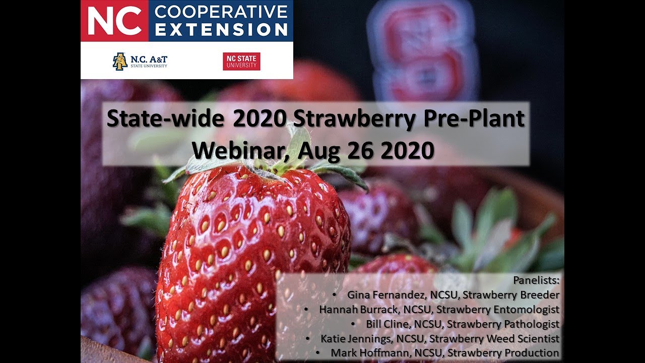 NC State Strawberry Pre-Plant Webinar 2020